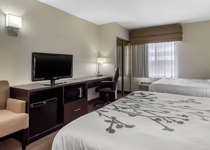 Sleep Inn & Suites Allendale